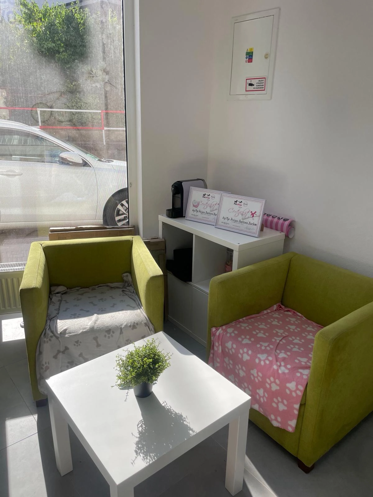 Psí wellness salón